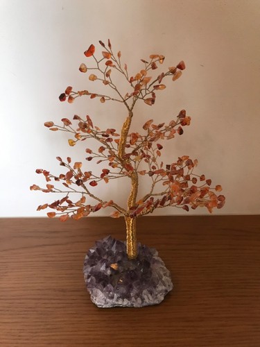 Grande albero della - albero, h