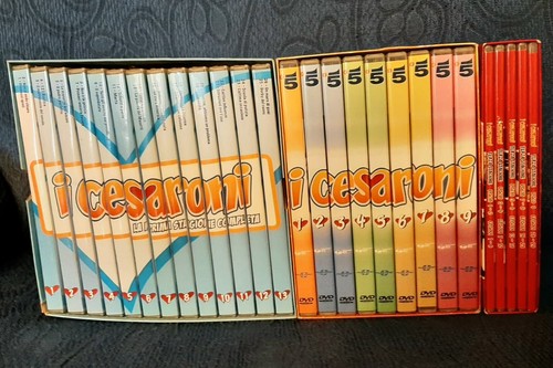 Cesaroni dvd 2 3 - cesaroni,