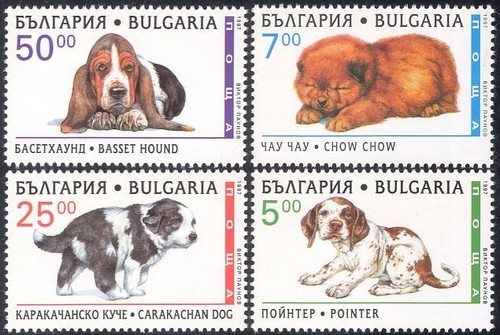 Bulgaria 1997 bassett - bulgaria,