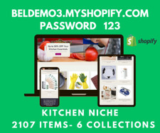 Dropshipping Shopify Store