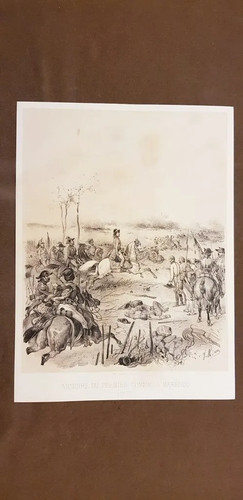 Battaglia marengo napoleone - battaglia, di