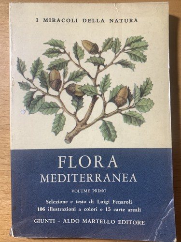 Flora mediterranea miracoli - flora,