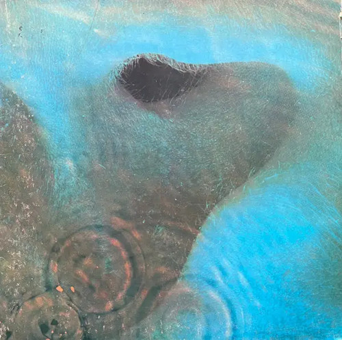 Pink floyd meddle - pink, y