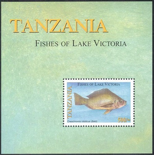 Tanzania 2005 nilo - tanzania,