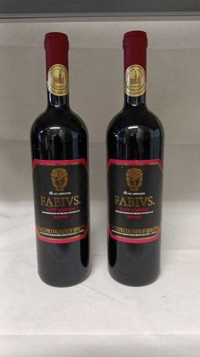 Bottiglie fabivs sant - 2,