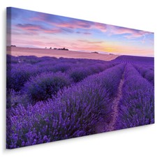 Quadri tela canvas - canvas, xxl