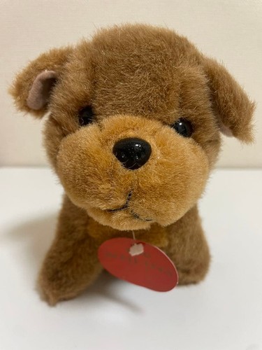 Chow peluche - chow, con