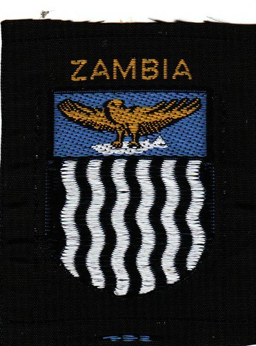 Boy scout badge - boy,