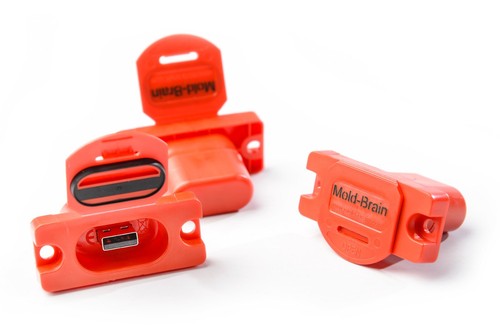 Memorie usb mold brain di - usb,