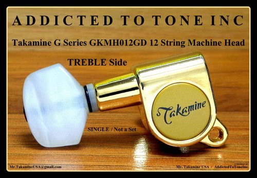 Vintage takamine gkmh012gd - vintage,