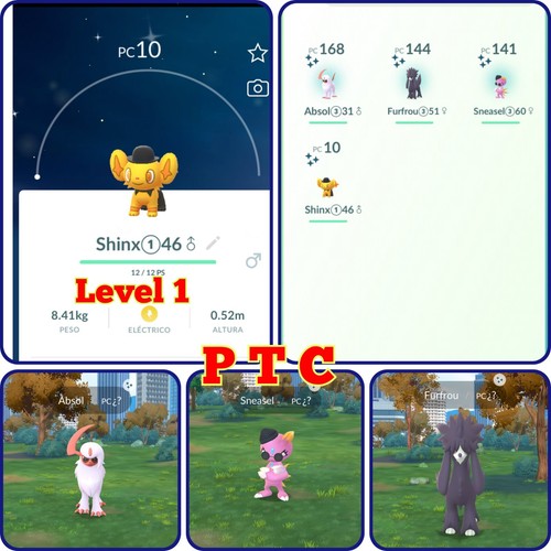 Shinx lucido indossa - , un