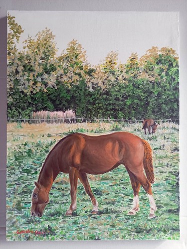 087 quadro olio tela - su,