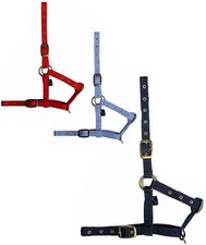Capezza nylon puledro - capezza, da