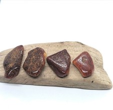 Lotto di 4 rare pepite