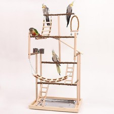 Parco giochi per pappagalli