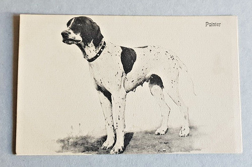 Cartolina temacica cani - temacica,