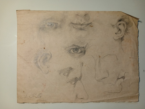 Disegno antico 1800 - disegno, anatomia