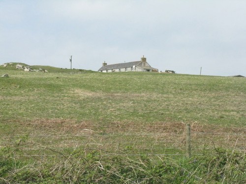Photo 6x4 pasture - photo, at