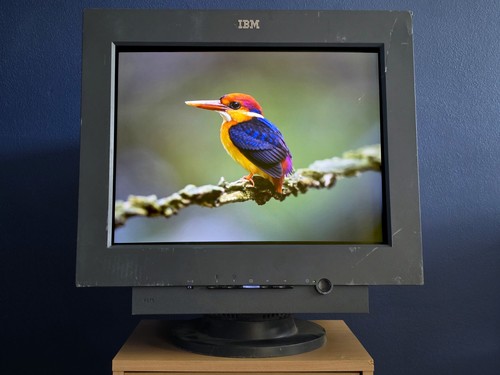 Sony trinitron ibm p275 - 21",