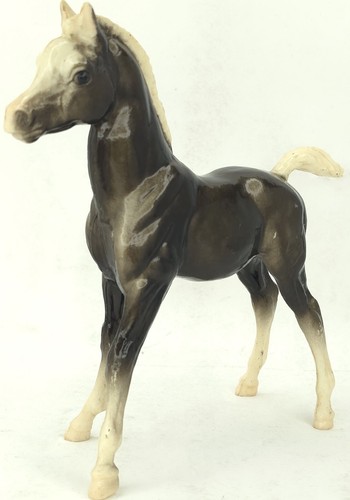 C1972 puledro arabo - , vintage