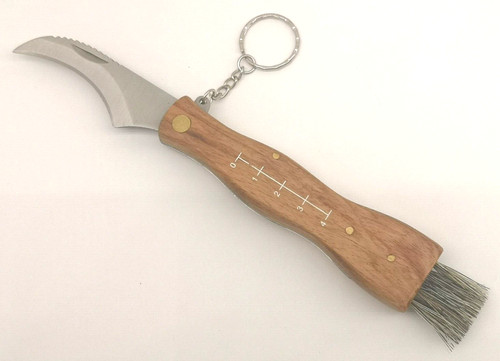 Coltello funghi lama - coltello, da