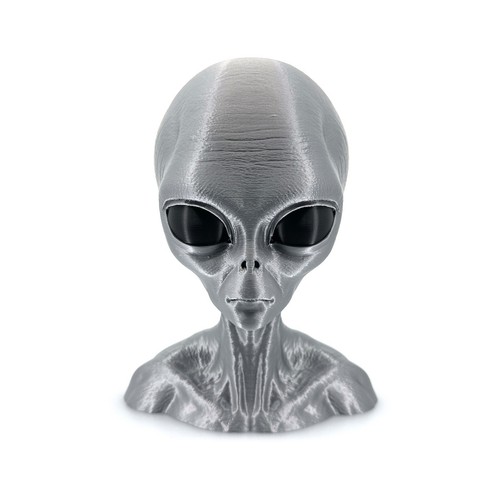 Busto testa aliena grigio - aliena,