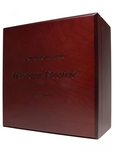 Western electric 300b coppia - electric,