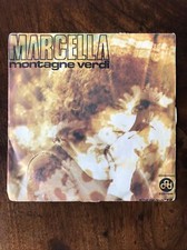 Disco Vinile 45 giri. Montagne