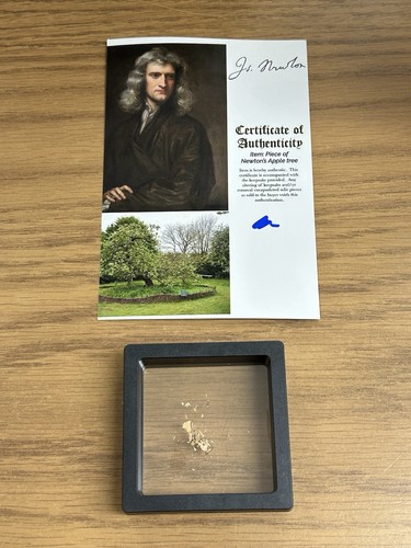 Isaac newton reliquia pezzo - pezzo, di