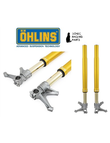 Fgr 262 ohlins forcella - fgr, oro