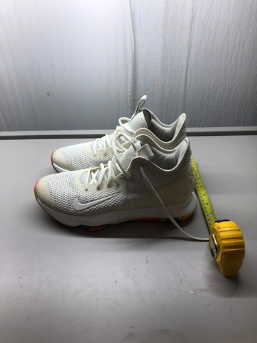 Nike lebron witness fruity - lebron, iv