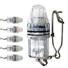 Luci da Pesca Notturne