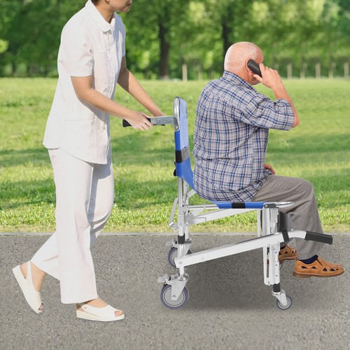 Sedia rotelle cintura ems - a,