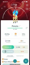 Ponyta Lucido che indossa un