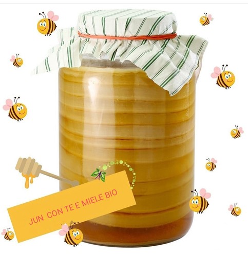 Kombucha scoby jun - kombucha, te'
