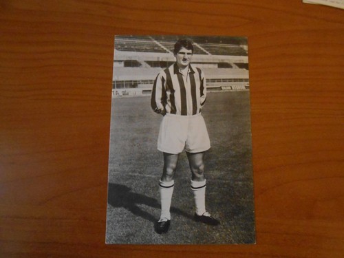Cartolina leoncini juventus - cartolina-leoncini-,