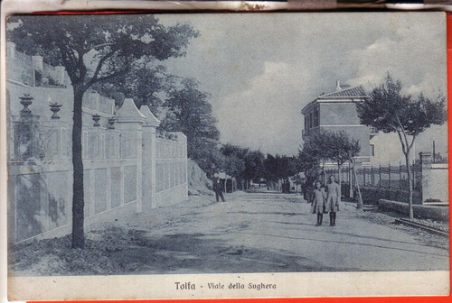 Cartolina tolfa viaggiata - tolfa,
