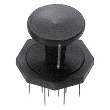 Q.TA' 12 PUNGISALAME corpo in