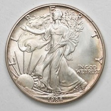 USA 1 One Dollar Liberty Oncia 1988 - Argento Silver