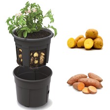 Vaso per piante di patate Vaso