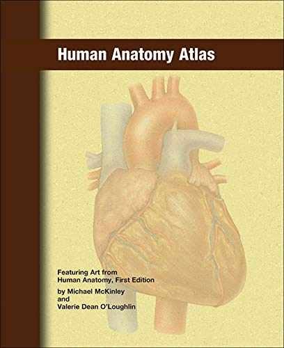 Human anatomy atlas - anatomy,