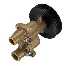 Raw Sea Water Pump for Mercury