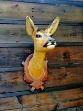 Cervo corna corna tassidermia