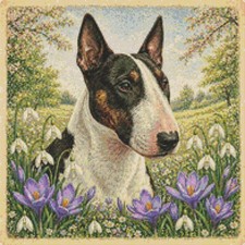 Cane cucciolo bull terrier - cane, in