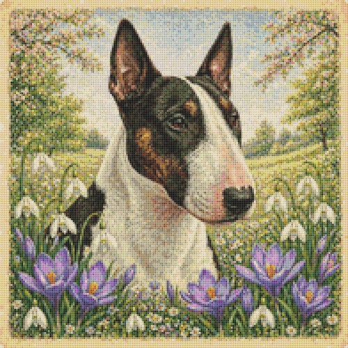 Cane cucciolo bull terrier - cucciolo, in