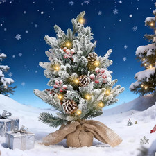 Albero Di Natale Con Luci