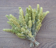 Tè Greco di Montagna Siderite