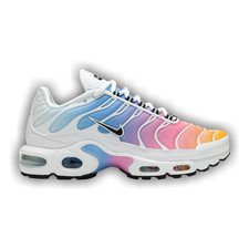 Nike Air Max Plus sfumate
