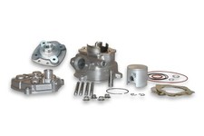 MALOSSI 3112376 GRUPPO TERMICO