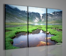 QUADRO MODERNO FANTASTIC